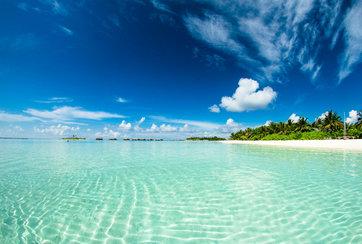 Beach & Water Sports